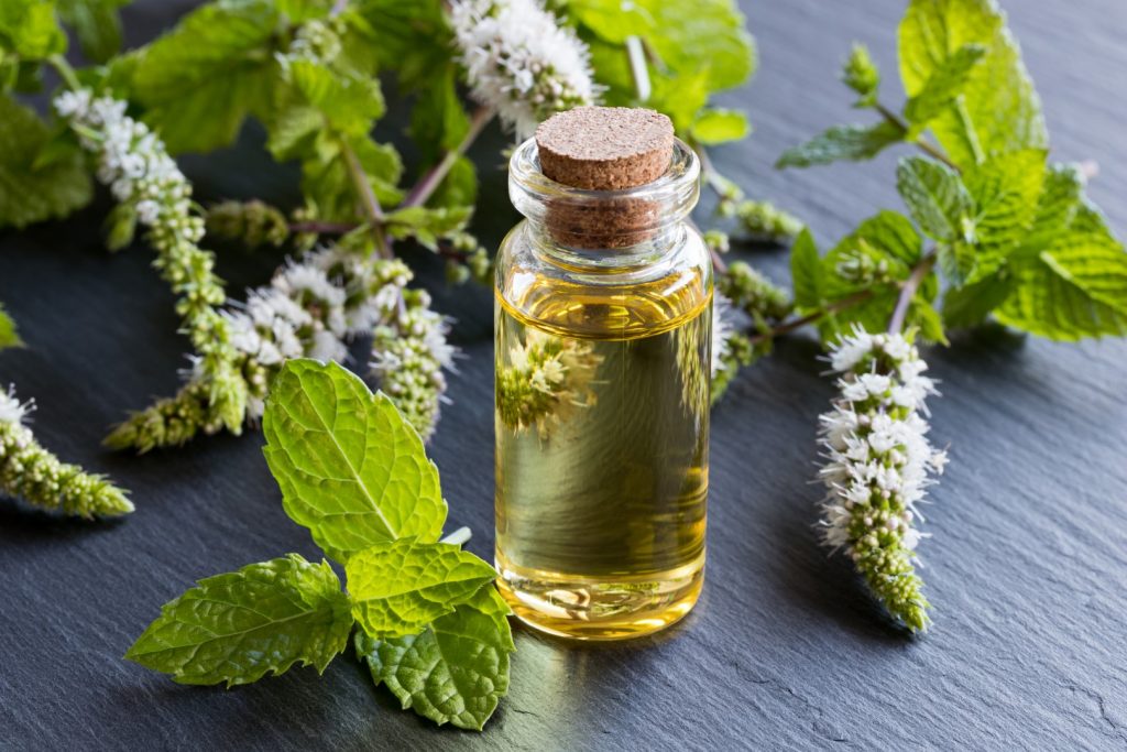 peppermint oil